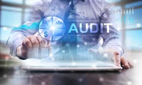 Audit de performance et gouvernance : Piloter l’efficacité, maîtriser les risques et renforcer la création de valeur
